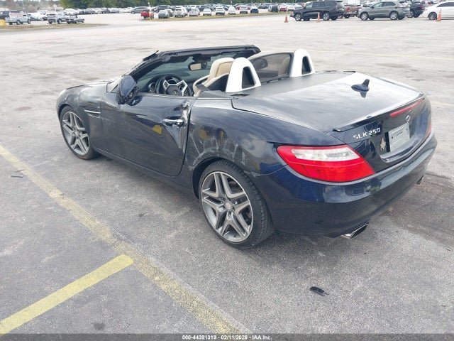 2015 MERCEDES-BENZ SLK 250 WDDPK4HA9FF100610 Photo 2