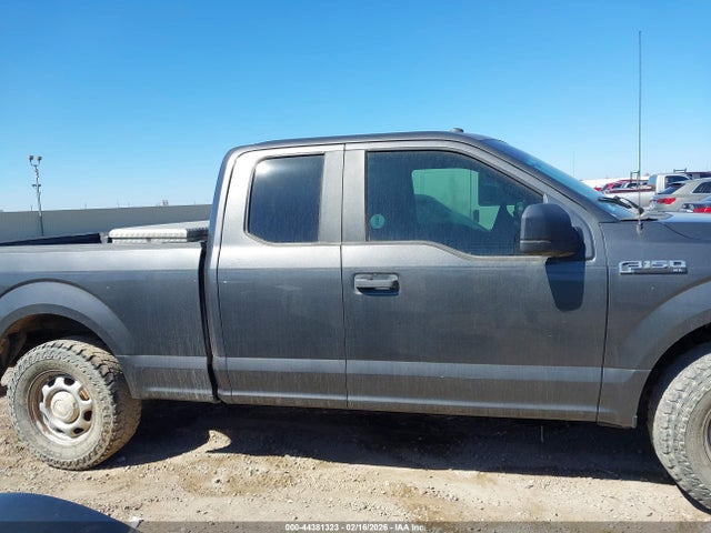1FTEX1EB5KKD36753 Ford F-150 Xl