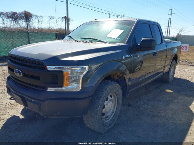 1FTEX1EB5KKD36753 Ford F-150 Xl