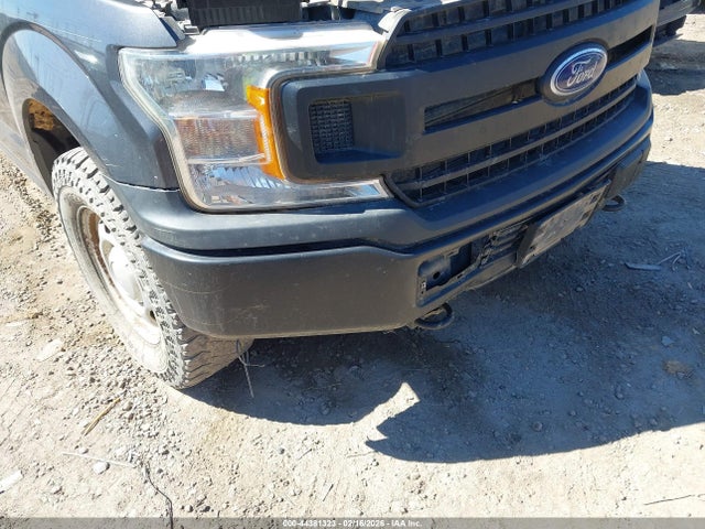 1FTEX1EB5KKD36753 Ford F-150 Xl