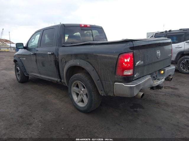 Продаж на аукціоні авто 2010 Dodge Ram 1500 Slt/sport/trx, vin: 1D7RV1CT5AS127889, номер лоту: 44382679
