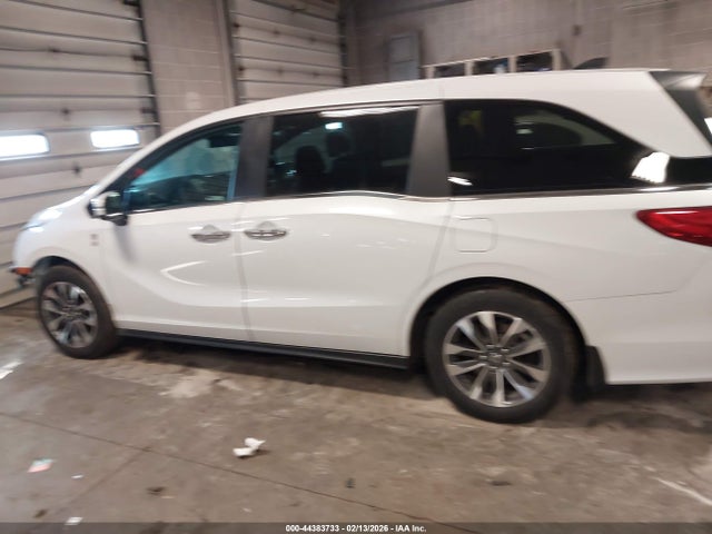 Продажа на аукционе авто 2024 Honda Odyssey Ex-l, vin: 5FNRL6H65RB054449, номер лота: 44383733