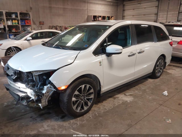Продажа на аукционе авто 2024 Honda Odyssey Ex-l, vin: 5FNRL6H65RB054449, номер лота: 44383733