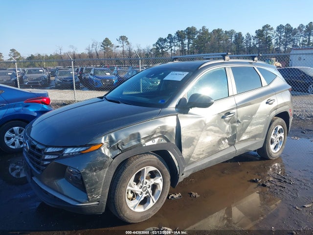Hyundai TUCSON SEL 2023 5NMJBCAE3PH219796 Image 6
