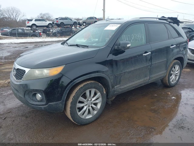 Продаж на аукціоні авто 2011 Kia Sorento Ex, vin: 5XYKUDA11BG089389, номер лоту: 44383994