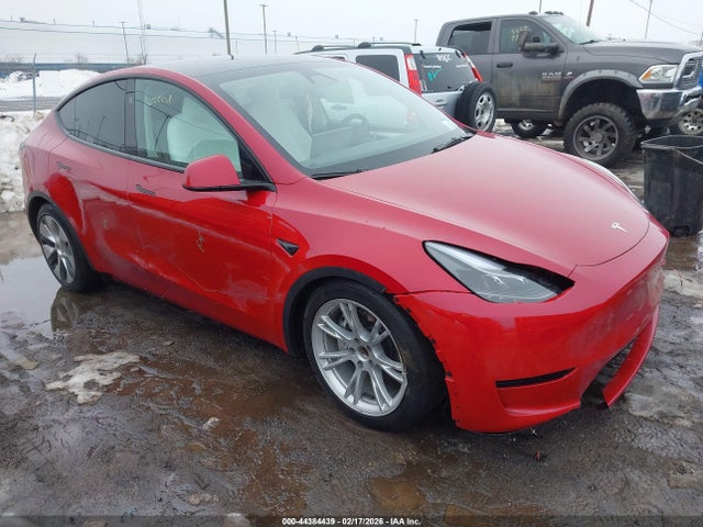 2023 TESLA MODEL Y 7SAYGDED7PF957662 Photo 0