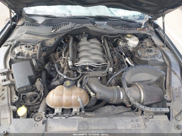 Ford MUSTANG GT 2019 1FA6P8CF3K5125722 Image 10