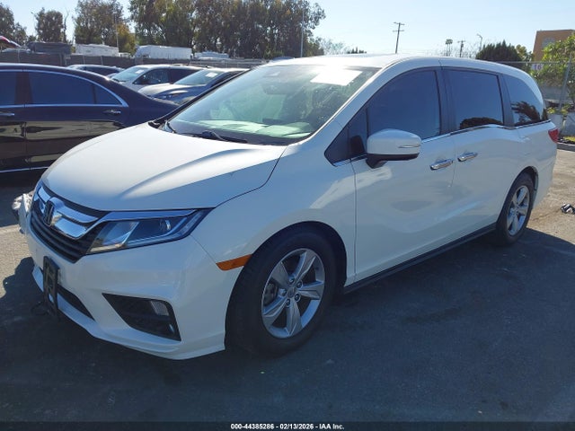 Honda Odyssey Ex-l 2019 5FNRL6H75KB065563 Image 2