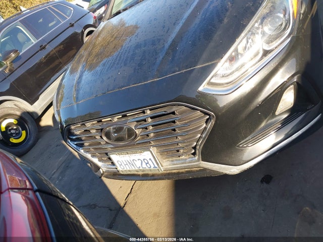 Hyundai SONATA SE 2019 5NPE24AF6KH744864 Image 12