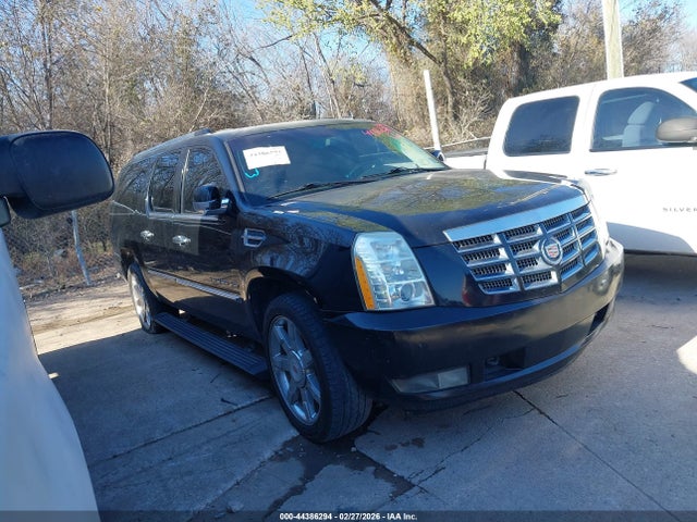 2010 CADILLAC ESCALADE ESV 1GYUCJEF1AR156230