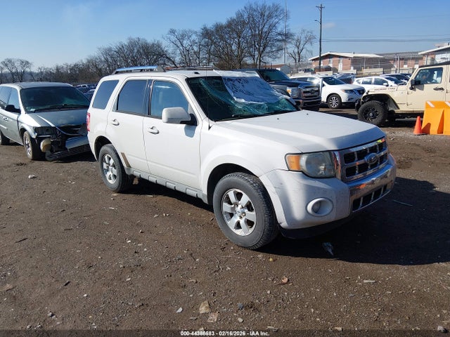 2009 FORD ESCAPE 1FMCU04G29KB53405