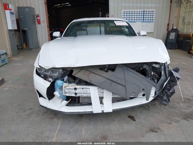 Ford Mustang Ecoboost Fastback 2025 1FA6P8TH5S5108776 Image 12