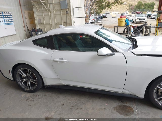 Ford Mustang Ecoboost Fastback 2025 1FA6P8TH5S5108776 Image 13