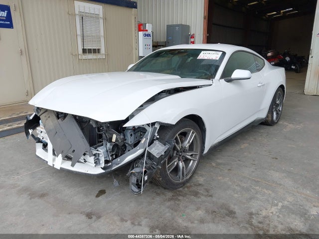 Ford Mustang Ecoboost Fastback 2025 1FA6P8TH5S5108776 Image 2