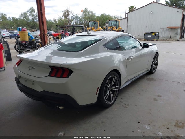 Ford Mustang Ecoboost Fastback 2025 1FA6P8TH5S5108776 Image 4