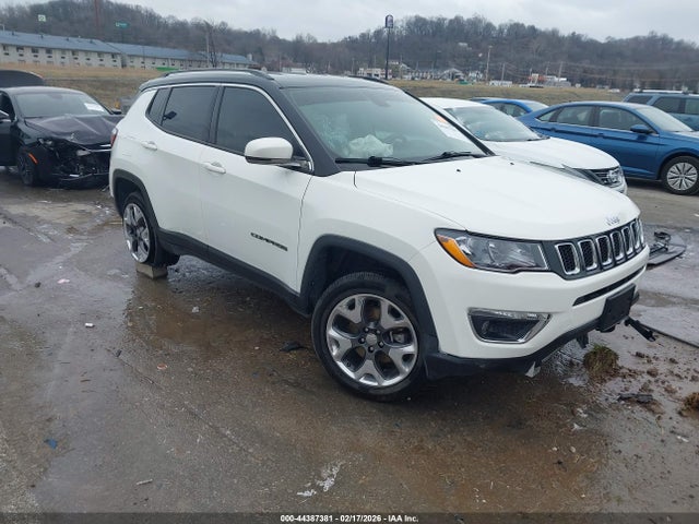 2020 JEEP COMPASS 3C4NJDCBXLT233821