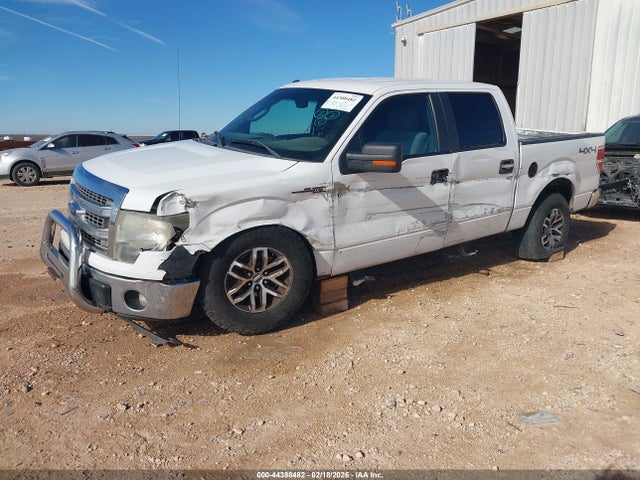 2013 Ford F-150 Xlt მანქანა იყიდება აუქციონზე, vin: 1FTFW1EF8DKD79139, აუქციონის ნომერი: 44388482
