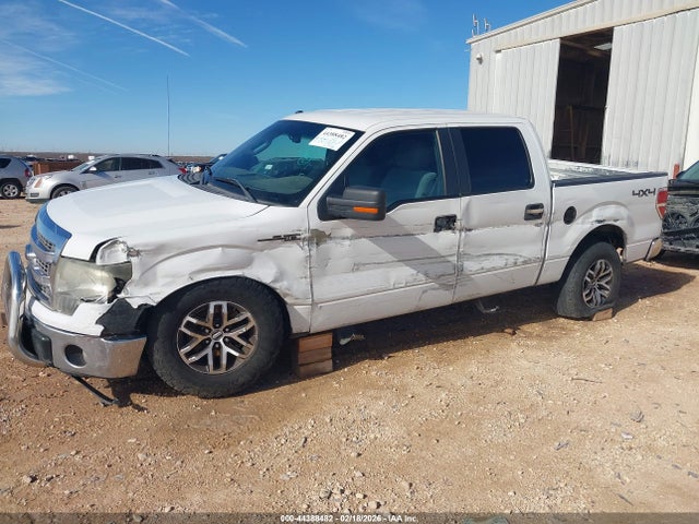 2013 Ford F-150 Xlt მანქანა იყიდება აუქციონზე, vin: 1FTFW1EF8DKD79139, აუქციონის ნომერი: 44388482