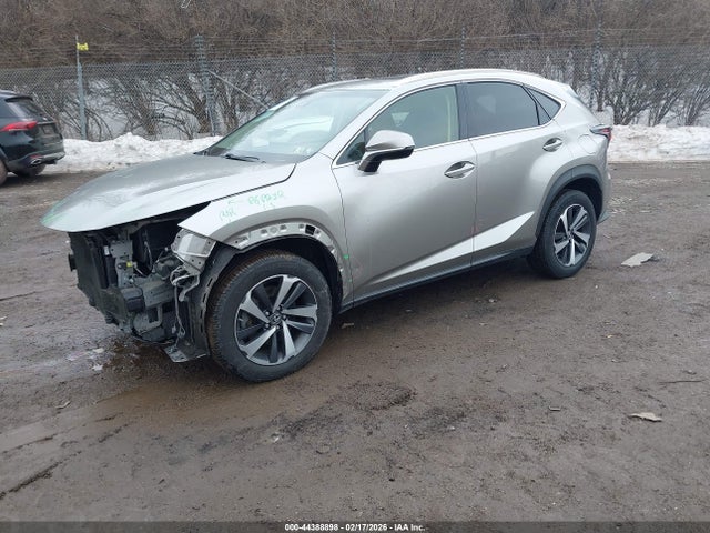 JTJBARBZ5K2198908 Lexus NX 300