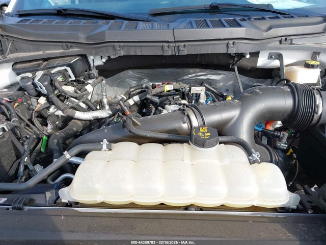 Auction sale of the 2024 Ford F-150 Xlt, vin: 1FTEW3LP4RKE20182, lot number: 44389783
