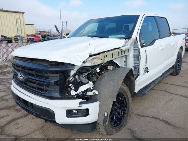 Auction sale of the 2024 Ford F-150 Xlt, vin: 1FTEW3LP4RKE20182, lot number: 44389783