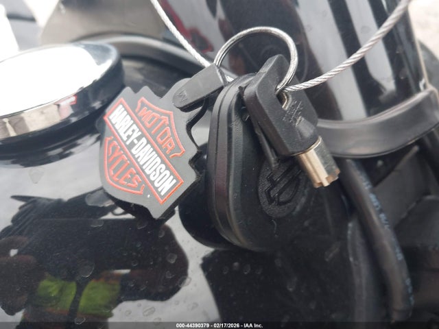 1HD1JT916GC012496 Harley-Davidson Flstfbs