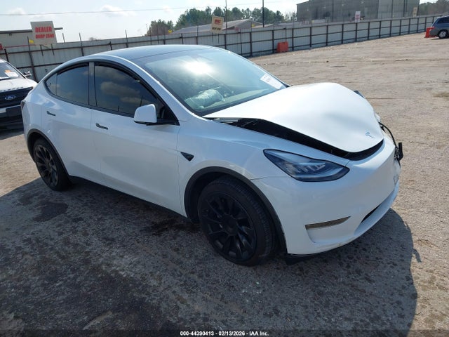 2023 TESLA MODEL Y 7SAYGDEE5PA137442 Photo 0