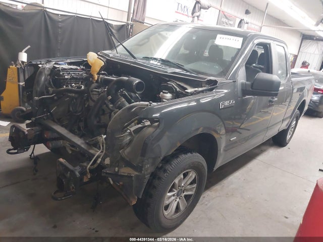Ford F-150 Xl 2016 1FTEX1EP5GFA57623 Image 2
