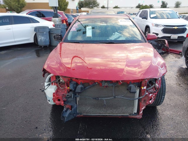 4T1B11HK6KU211356 Toyota CAMRY SE