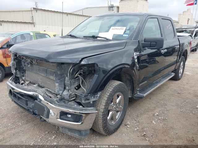 44392259 :رقم المزاد ، 1FTFW3LD6RFA36701 vin ، 2024 Ford F-150 Xlt مزاد بيع