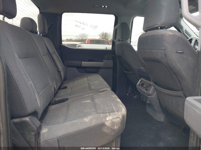 44392259 :رقم المزاد ، 1FTFW3LD6RFA36701 vin ، 2024 Ford F-150 Xlt مزاد بيع
