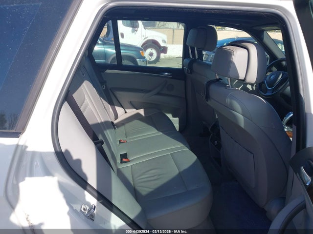 2009 BMW X5 5UXFE435X9L268574 Photo 7