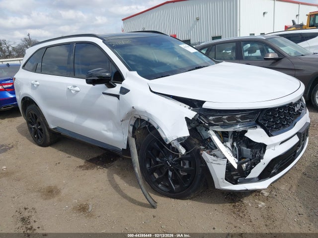 2023 KIA SORENTO 5XYRKDLF8PG224131