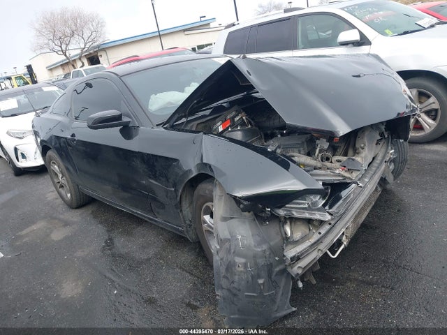 Ford Mustang V6 Premium 2014 1ZVBP8AM6E5259605 Image 14