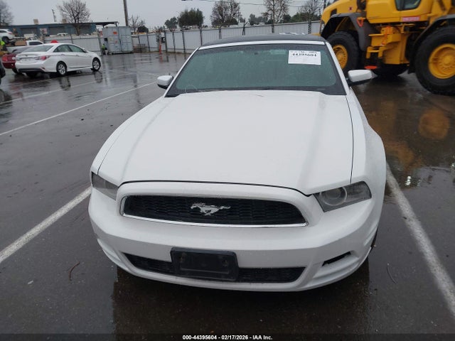 1ZVBP8EMXE5285537 Ford Mustang V6 Premium