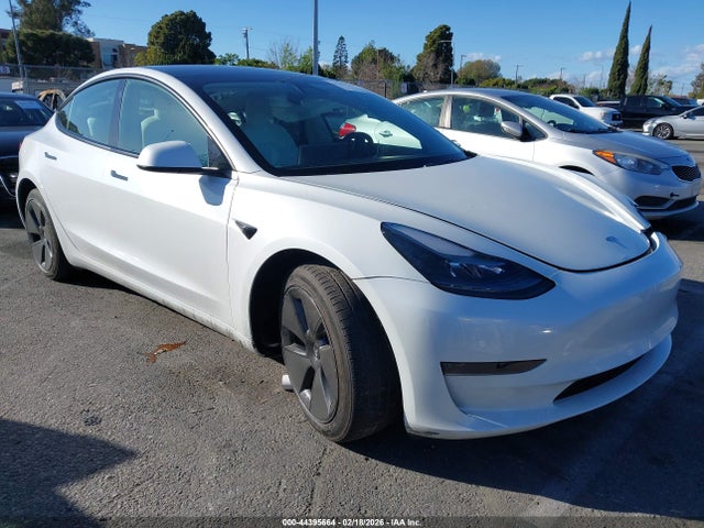 2023 TESLA MODEL 3 5YJ3E1EA5PF429006 Photo 0