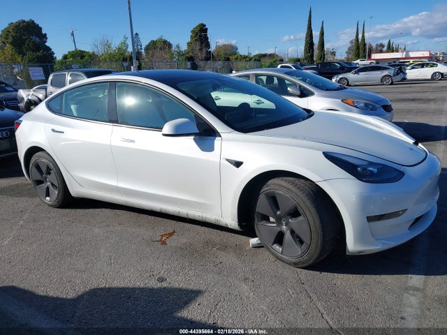 Продажа на аукционе авто 2023 Tesla Model 3 Rear-wheel Drive, vin: 5YJ3E1EA5PF429006, номер лота: 44395664