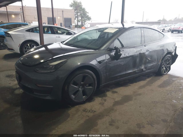 Aukcja sprzedaży 2023 Tesla Model 3 Rear-wheel Drive, vin: 5YJ3E1EA6PF406592, numer aukcji: 44395813