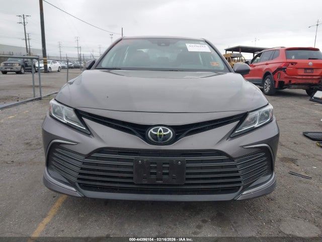4T1C11AKXRU891206 Toyota CAMRY LE