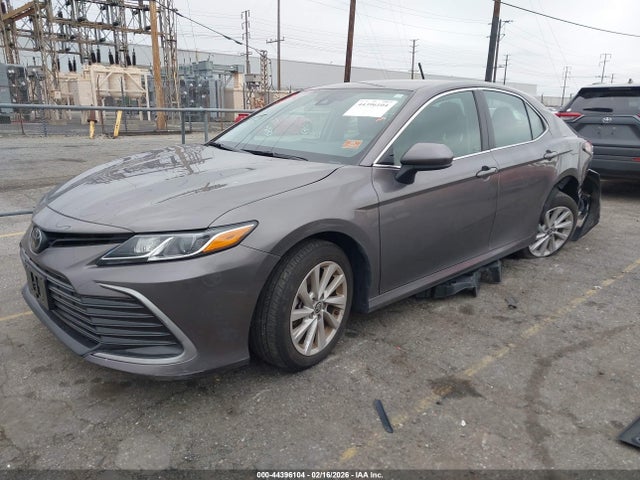 4T1C11AKXRU891206 Toyota CAMRY LE