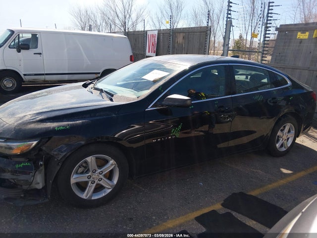 2023 Chevrolet Malibu Fwd Ls მანქანა იყიდება აუქციონზე, vin: 1G1ZB5ST4PF115173, აუქციონის ნომერი: 44397073