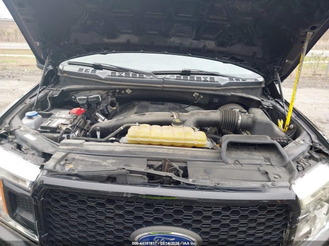 2019 Ford F-150 Xl მანქანა იყიდება აუქციონზე, vin: 1FTEW1C42KFC03142, აუქციონის ნომერი: 44397637