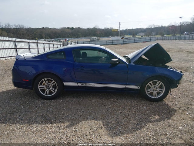 Продаж на аукціоні авто 2013 Ford Mustang V6, vin: 1ZVBP8AM4D5235883, номер лоту: 44397668