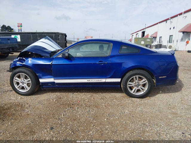 Продаж на аукціоні авто 2013 Ford Mustang V6, vin: 1ZVBP8AM4D5235883, номер лоту: 44397668