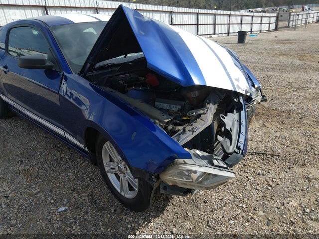 Продаж на аукціоні авто 2013 Ford Mustang V6, vin: 1ZVBP8AM4D5235883, номер лоту: 44397668