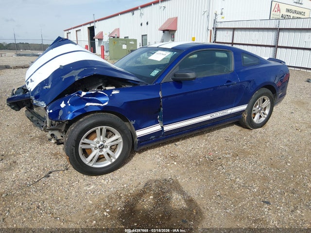 Продаж на аукціоні авто 2013 Ford Mustang V6, vin: 1ZVBP8AM4D5235883, номер лоту: 44397668