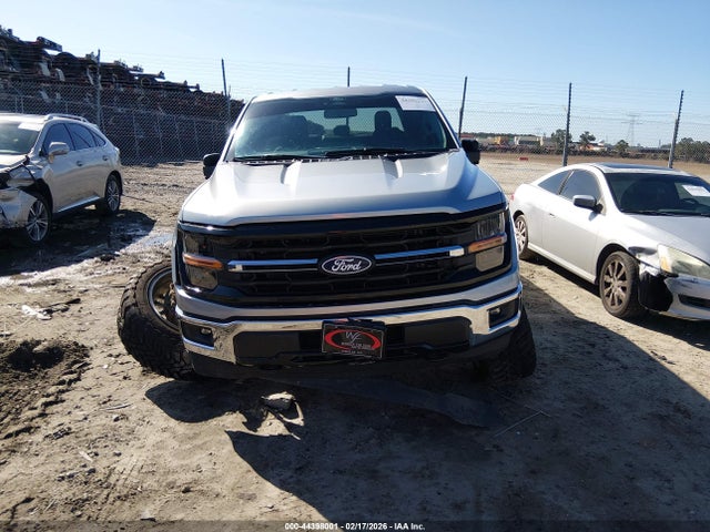 1FTFW3L89RKD39224 Ford F-150 Xlt