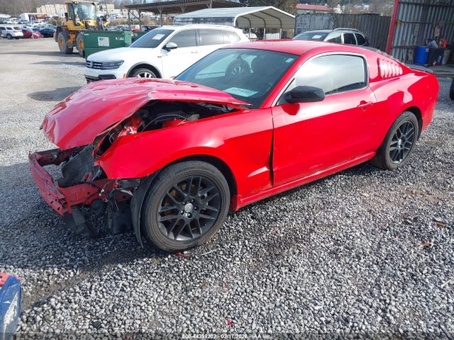 1ZVBP8AM3E5286647 Ford Mustang V6