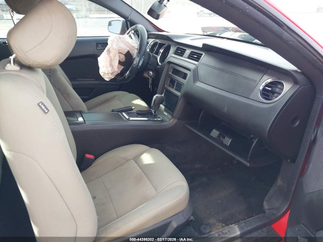 1ZVBP8AM3E5286647 Ford Mustang V6