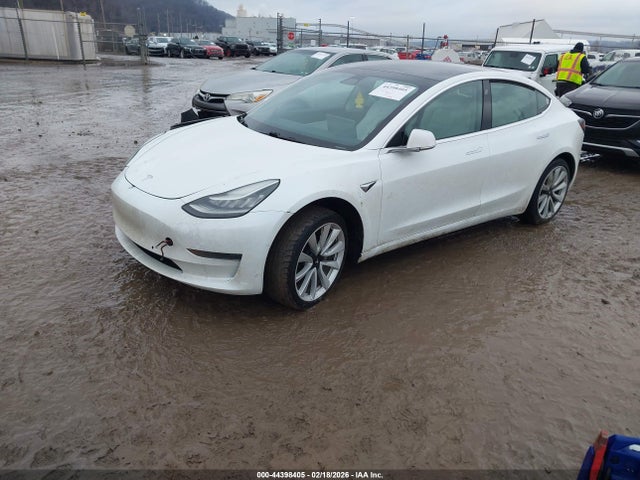 2019 TESLA MODEL 3 5YJ3E1EA3KF447822 Photo 1